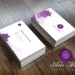 Rhine And Anole Studios