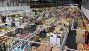 Integrated Global Food Industries (IGFI)