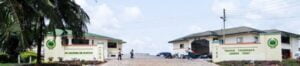 International Community School