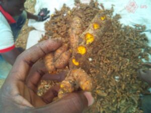 Legend Organic vegetables Company Limited.