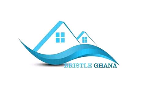 Bristle Ghana Limited