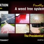 A.B.S HOUSE PAINTERS