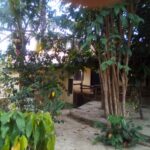 Commercial Restaurant