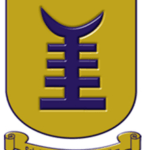 University of Professional Studies