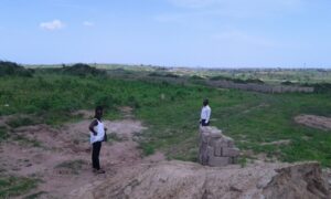 Aman Investment and Properties Ltd
