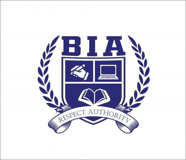 brentford international academy