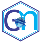 GloneSoft Web Designing Company Accra