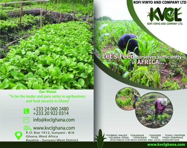 Kofi Vinyo and Company Ltd