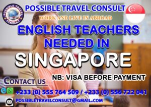 POSSIBLE TRAVEL CONSULT
