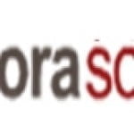 Ubora Solutions