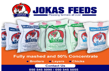 1530455120 11 jokas farms ltd