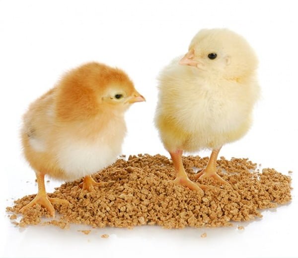 1595507922 51 akate farms trading co ltd