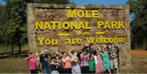 Mole National Park