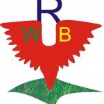 RedWings Business