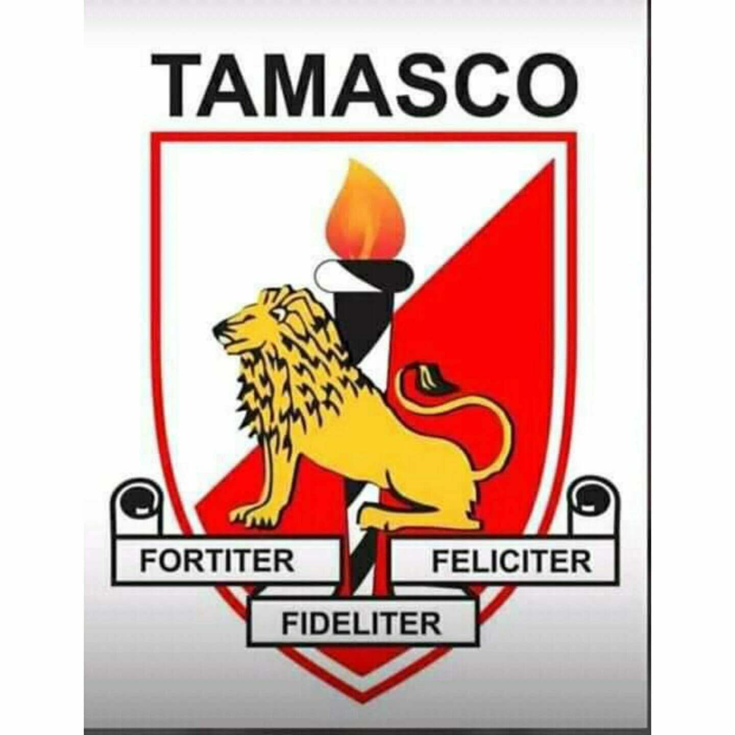 tamasco 1