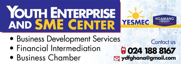 1498037935 92 youth enterprise and sme center yesmec