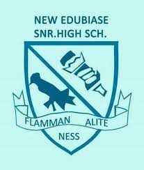 new edubiase shs 1