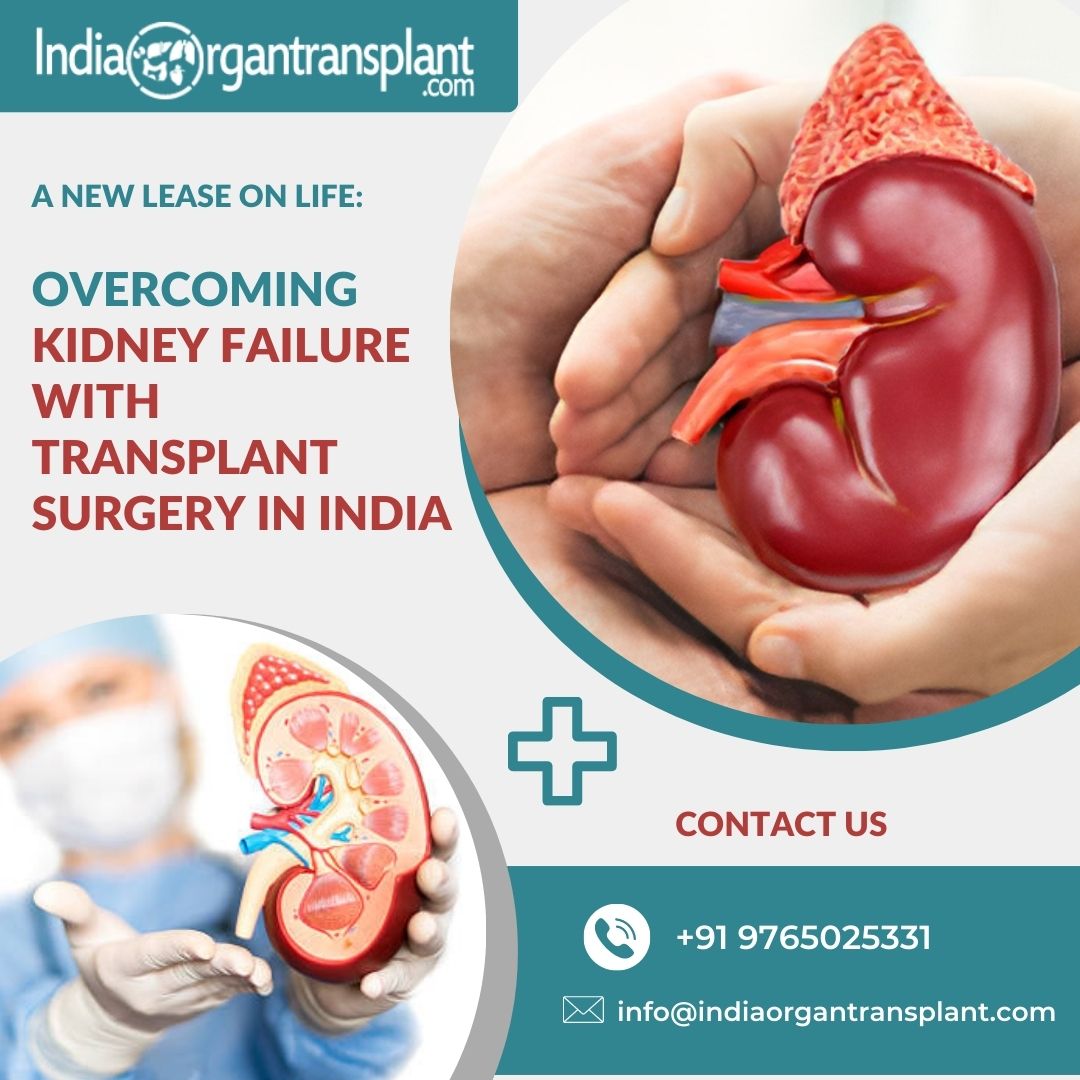A New Lease On Life Overcoming Kidney Failure With Transplant Surgery In India