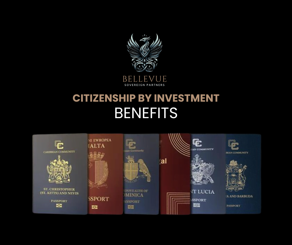 Bellevue Sovereign Partners Featured image